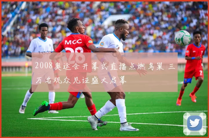 2008奥运会开幕式直播点燃鸟巢 三万名观众见证盛大启幕