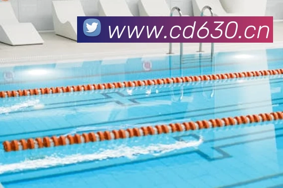 开云·kaiyun(中国)·web版登录入口全站App